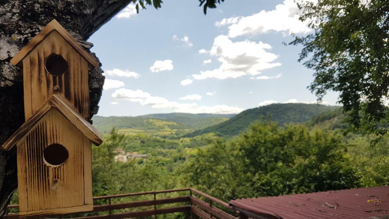 Rosarium Residence Guest House Dryanovo Buitenkant foto