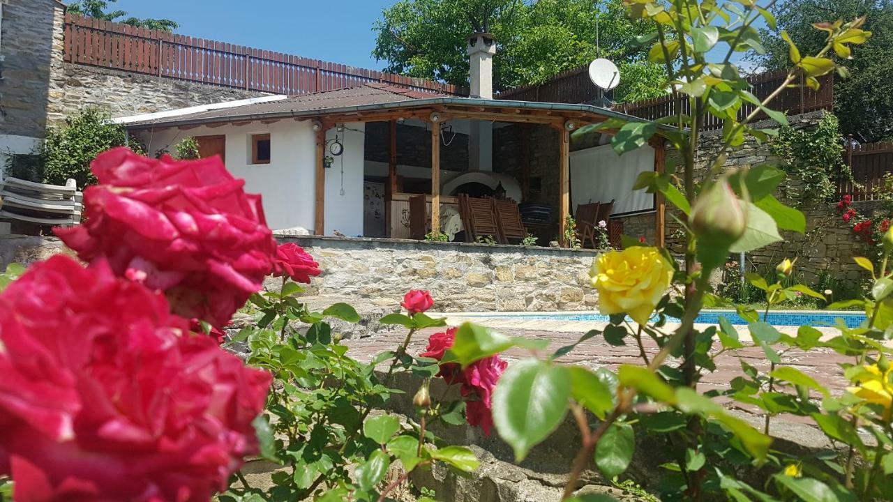 Rosarium Residence Guest House Dryanovo Buitenkant foto