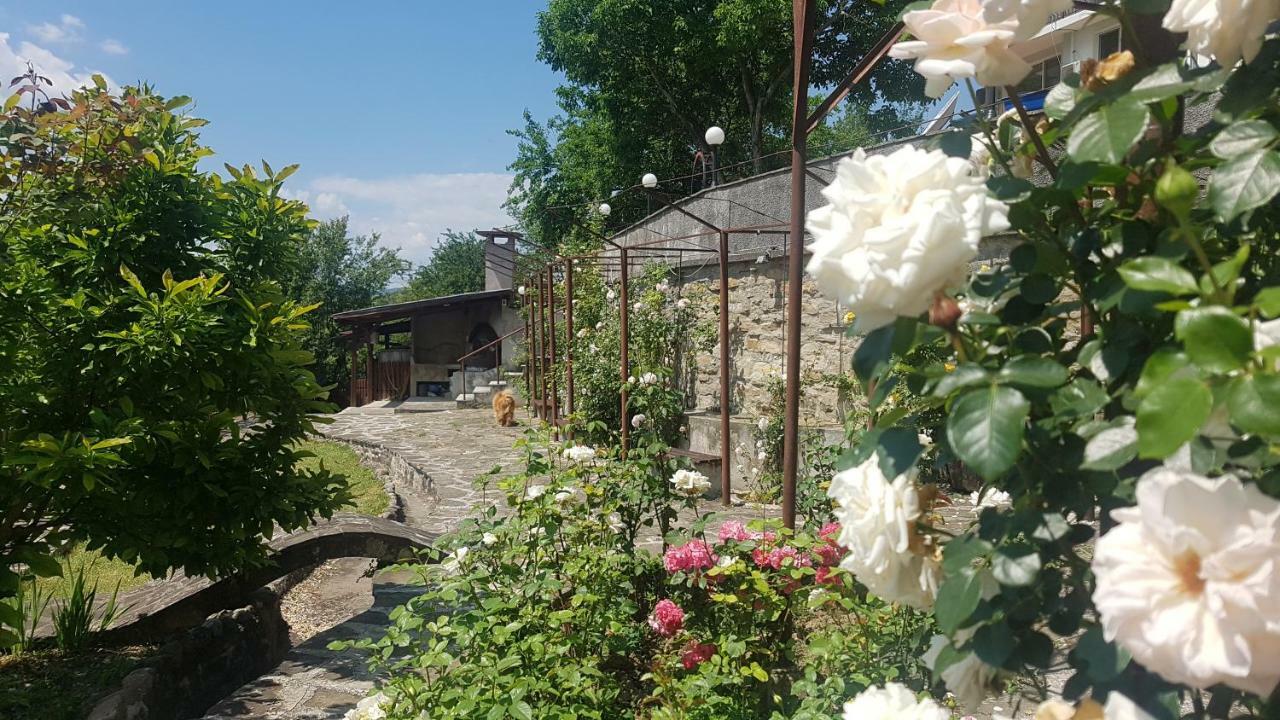 Rosarium Residence Guest House Dryanovo Buitenkant foto